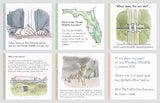 Florida Wildlife Corridor Act Watercolor Illustrations